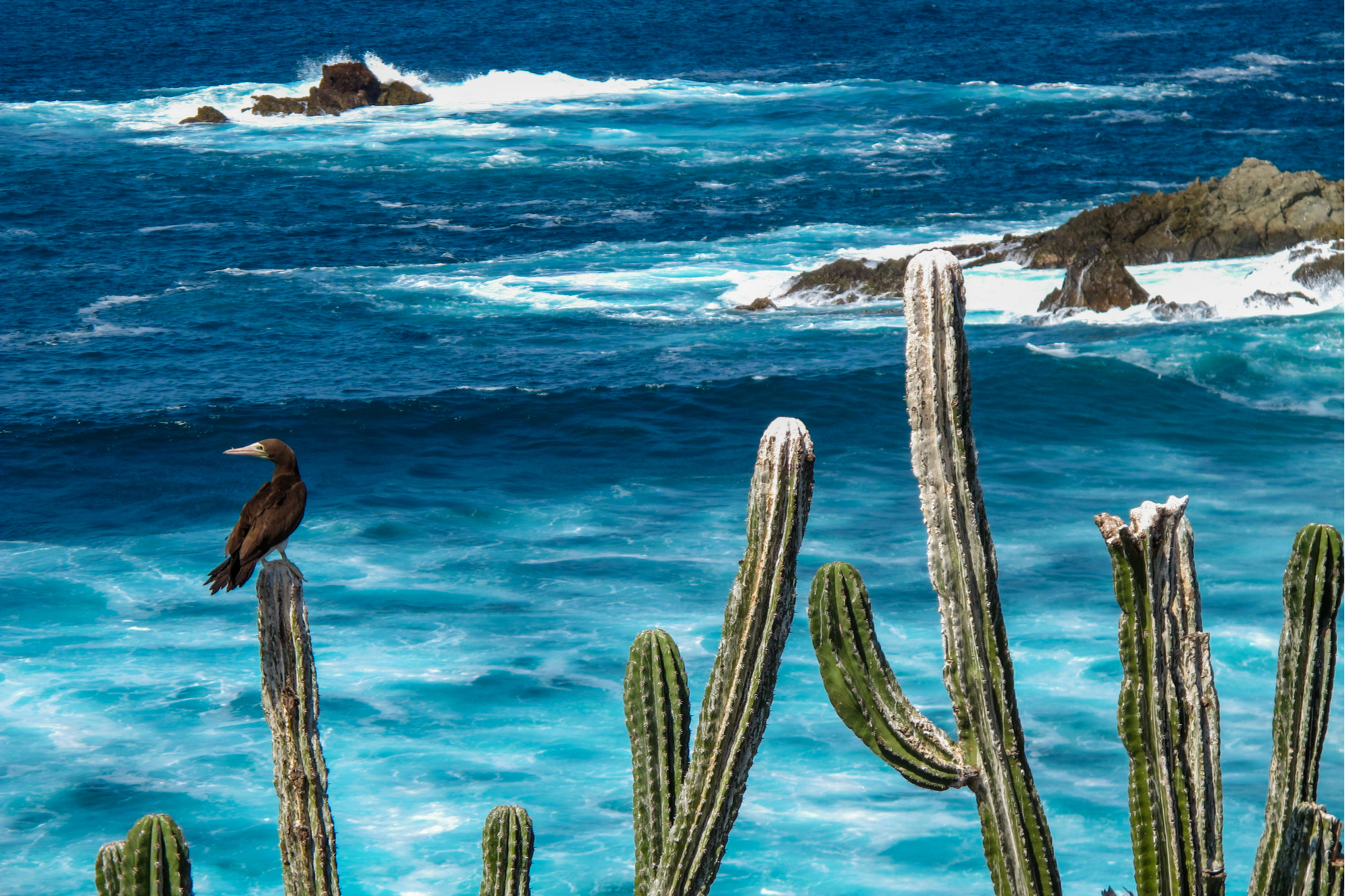 Mexico superyacht charter, chamela