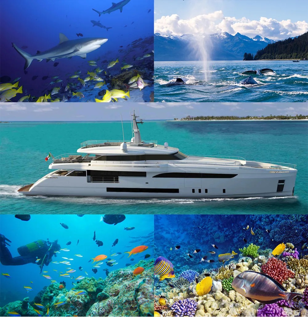 Eco-friendly Yacht Charters