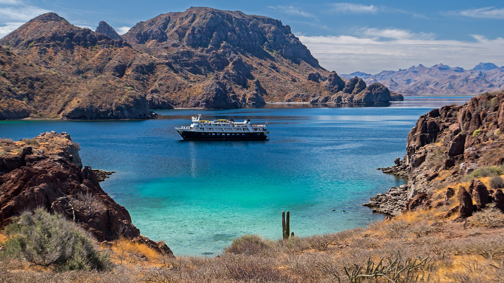 Sea of Cortez, Isla Danzante