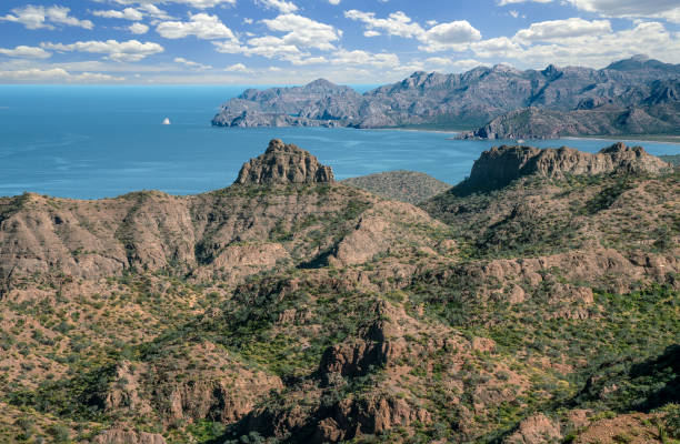 Sea of Cortez, Loreto