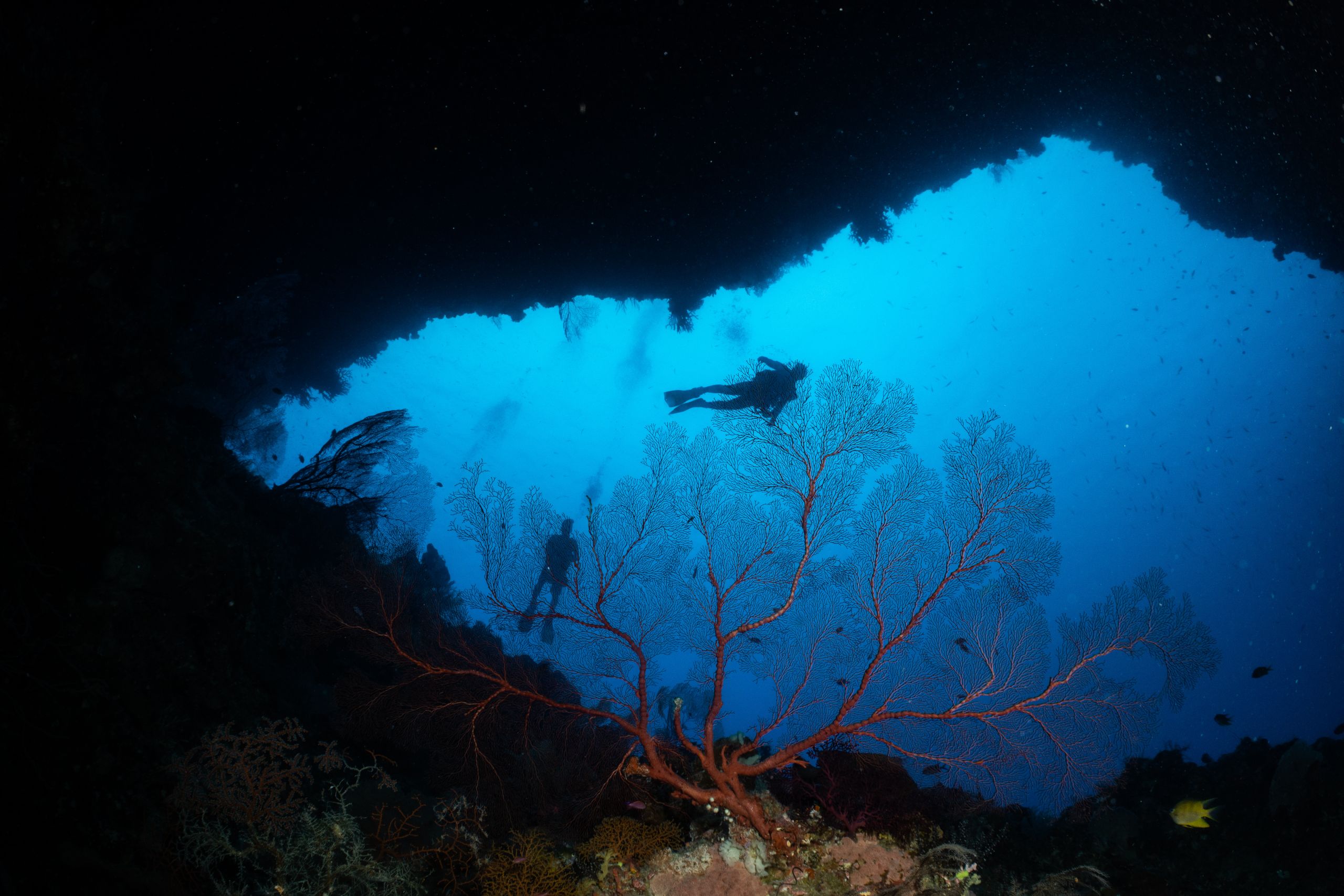 luxury Palau yacht charter